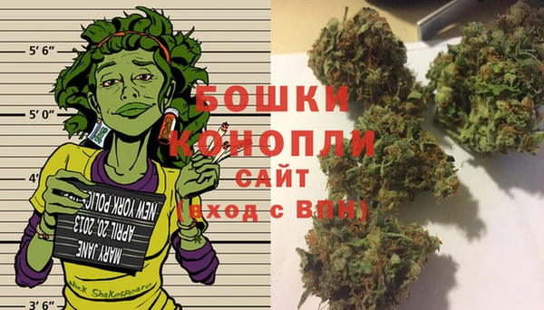 индика Михайлов