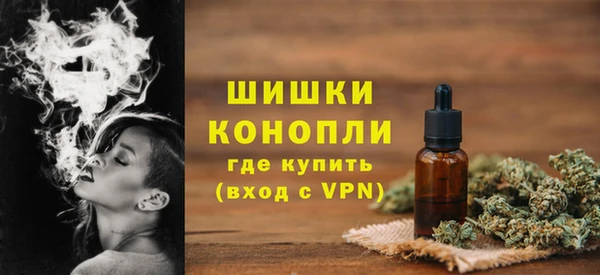 твердый Медногорск