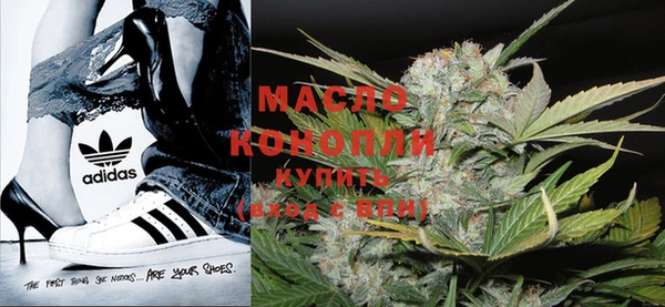 индика Михайлов