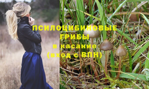 твердый Медногорск