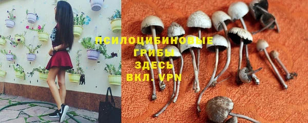 прущий лед Михайловск
