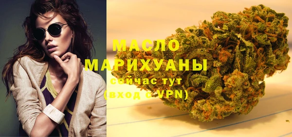 индика Михайлов