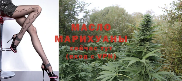 индика Михайлов