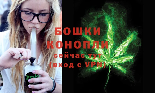 индика Михайлов