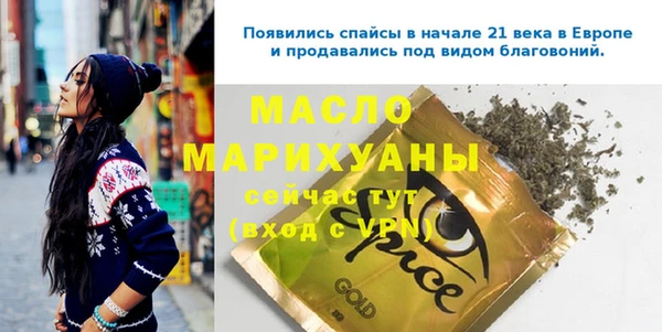 индика Михайлов