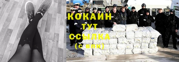 твердый Медногорск