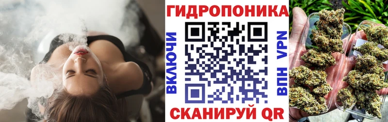 Каннабис Ganja  Пошехонье 
